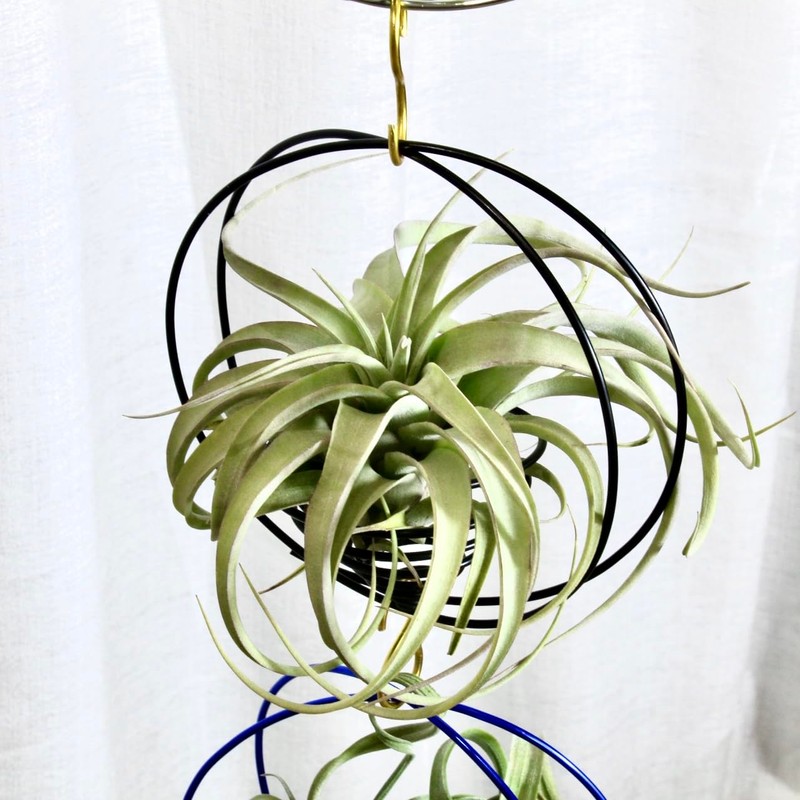 SCSFCVIUS Air Plant Hanging Holder Planter - Plant Hanger Display