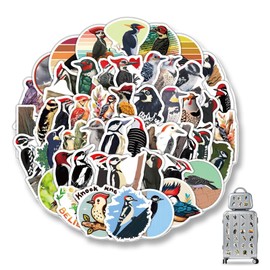 AzureRay 60 Stück Specht Aufkleber,Wasserdichte Vinyl Sticker mit Niedlichen Vogel Motiven, Perfekt für Gitarre, Fahrrad, Ästhetische Tiere Aufkleber
