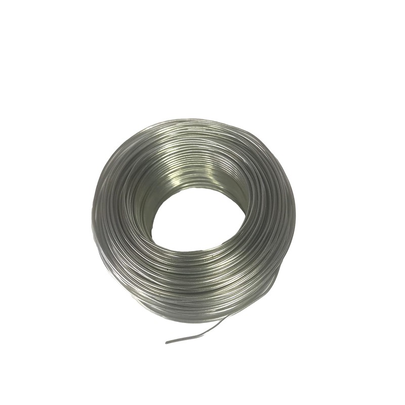 Plants Trellis Training Wire Single Coil (Metal, 175Ft)