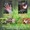 Anyingkai Gardening Hand Weed Cutter, Pack of 2 Stainless Steel