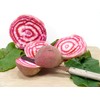 Seed Needs Beet Seeds for Planting Chioggia Beetroot - Non-GMO