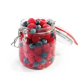 Tescoma Preserving Jar with Flip-Top Closure 800 Ml Della Casa, Assorted