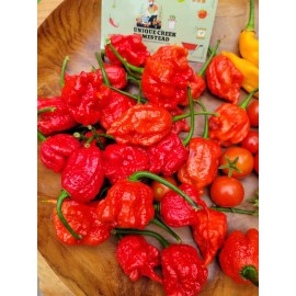 Carolina REAPER Super HOT Pepper Seeds Unique Creek Homestead Certified