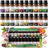 Set de 20 Aceites Esenciales para Difusor, 10 ml Cada