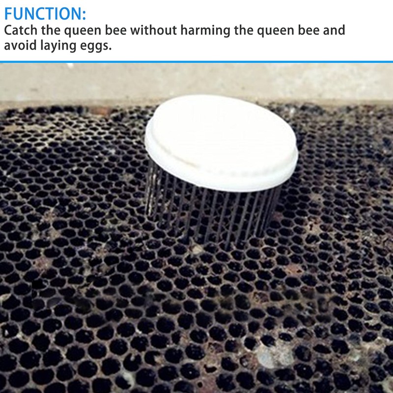 4Pcs Needle Style Queen Bee Cage Buckle Type Queen Bee