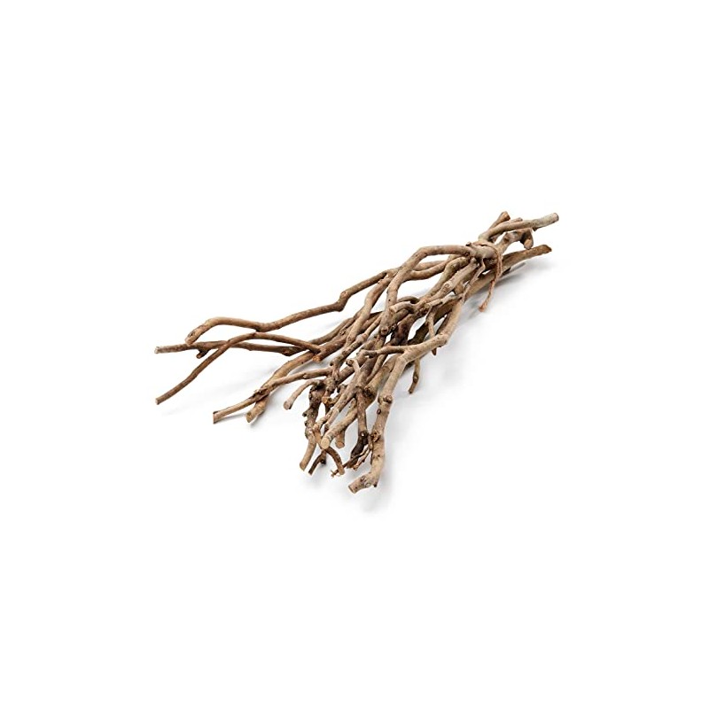 NaDeco Tea Bush Branches Natural, Length Approx. 50 cm, Tea