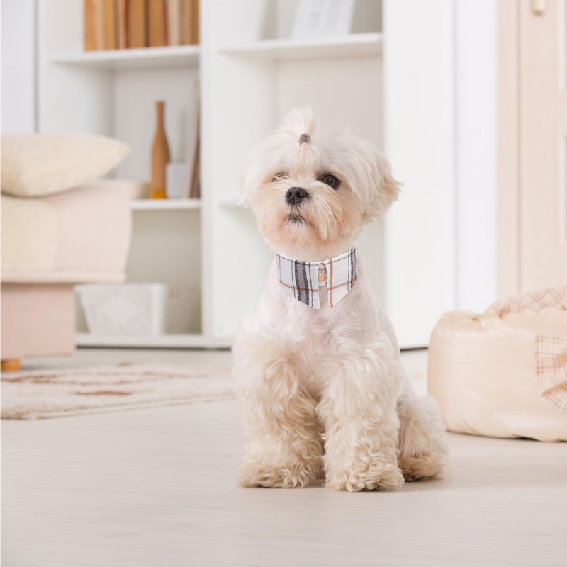 BINGPET Dog Collar Bandana Lead Set, Dog Collar, Includes Bell,