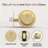Mega Handles Buena Deadbolt Lock - Heavy Duty Square Locking