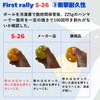 First Rally S-26 Pickleball, Indoor Use, 6-Ball Set, Practice Balls,