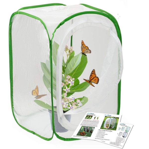 RESTCLOUD Insect and Butterfly Habitat Cage Terrarium Pop-up 24 Inches Tall with Zipper Protection