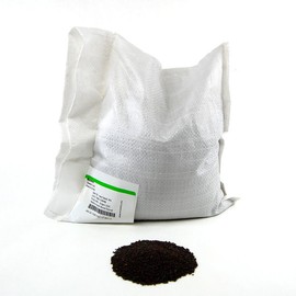 Osaka Purple Mustard Seeds: 5 Lb - Bulk, Non-GMO Seeds for Microgreens, Micro Herb Greens, Vegetable Garden