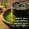 ZenRitual Organic Matcha Sticks - Convenient Single Serve Packets
