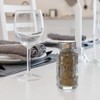 Wongblee 2 Pack Glass Salt and Pepper Shakers Set with