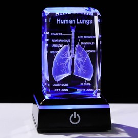 Movdyka 3D Human Lung Model Doctor Gifts for Men, Laser Etched Anatomical Lung Figurine Glass Keepsake Science Biology Surgeon Paperweight Gifts for Medical Student with Colorful LED Base