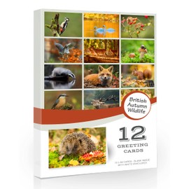 12 x British Autumn Wildlife Folding Greeting Cards with Envelopes. Autumn UK Countryside Collection. Blank Inside for All Occasions