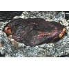 Hardcore Carnivore Camo - Wild Game and Lamb Seasoning (10.5