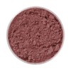 Kryolan Professional Make-up Blood Powder Dark 10 Gr.