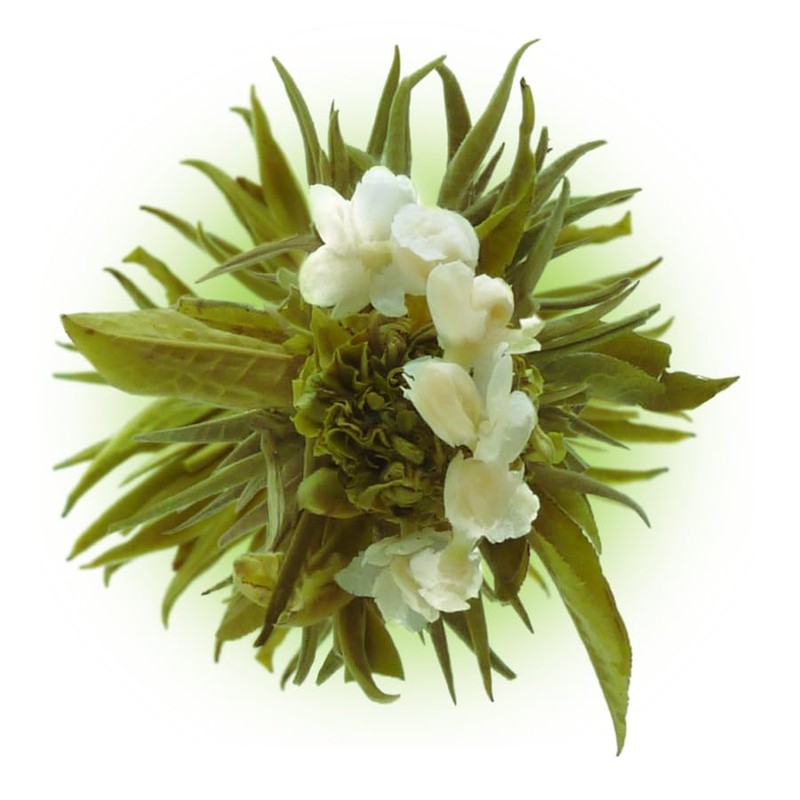 10 Blooming Flower Tea - 5 Jasmine and 5 Green