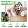 Shampoo Tinte Cubre Canas Marrón de MAGANIO, 500 mL