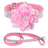 PET ARTIST Rhinestone Dog Collar and Leash Set, Sparkling Girl