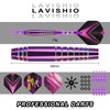 Lavishio Professional Soft Head Dart Set 19g Plastic Dart Heads,