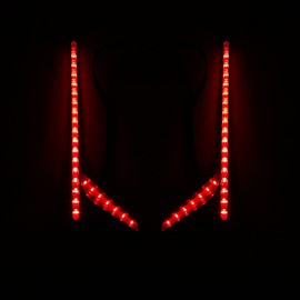 XMT-MOTO Rear Vertical LED Light Strips Clear Lens Fit For Honda Goldwing GL1800 2012-2017,For 2013-2017 F6B,Red Lens