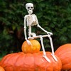 Halloween Skeletons Decorations, 10 Pack 16" Plastic Posable Skeleton, Small