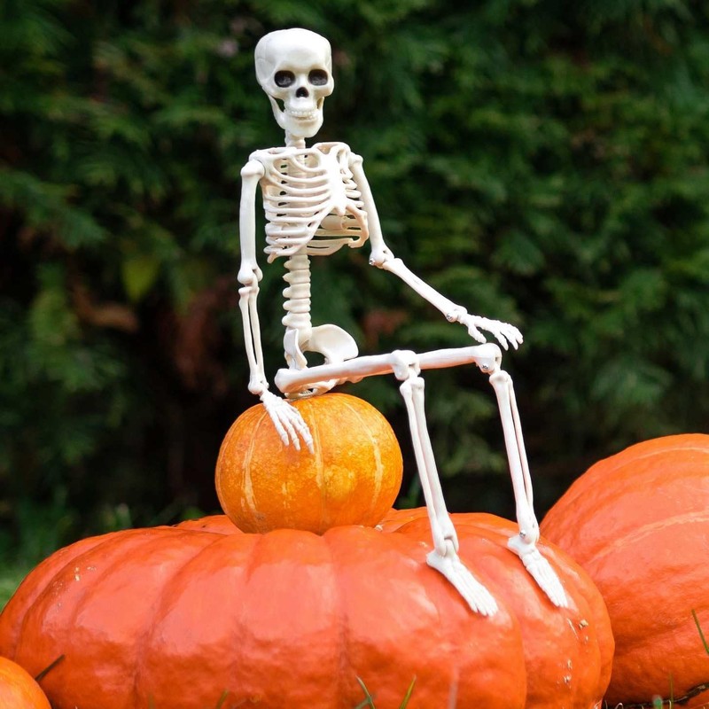 Halloween Skeletons Decorations, 10 Pack 16" Plastic Posable Skeleton, Small