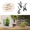 Gex GEX Healing Water Scenery Bottlewood, Large, For Small Aquariums,