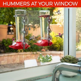 Large Leak Proof Window Hummingbird Feeders for Outdoors Hanging - Wasp and Bee Proof - Window Hummingbird Feeder for Outdoor - Window Mount