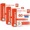 Botanicy BOTANICY Zndex Forte Complex 3er Pack - OptiMSM Hochdosiert,