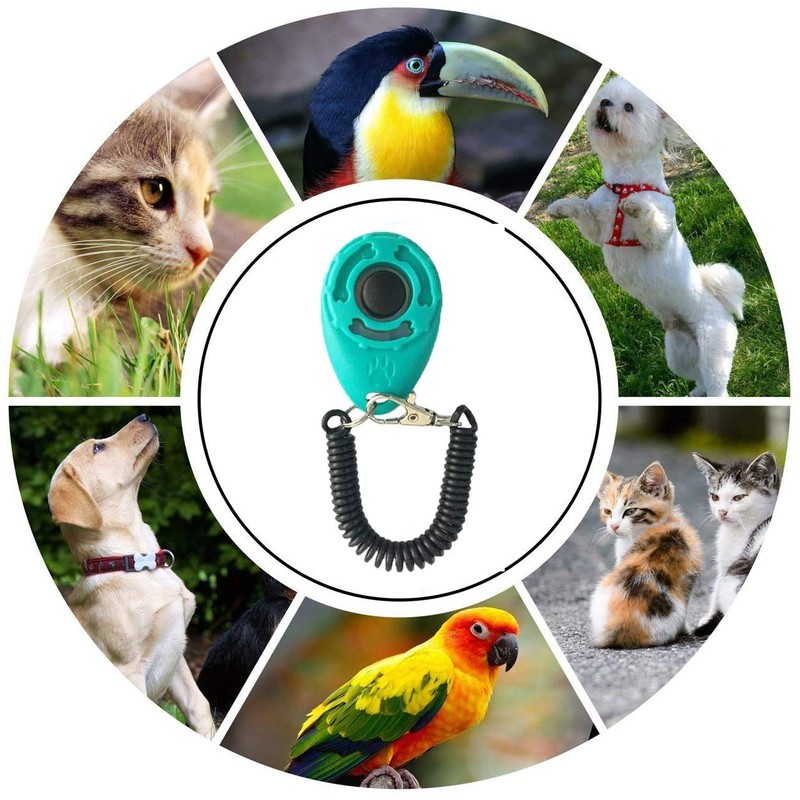 Winod Dog Training Clickers with Wrist Strap-2 Pack(Black+New Blue)