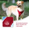 Sunraymascota No Pull Dog Harness Escape Proof, Adjustable Mesh Puppy