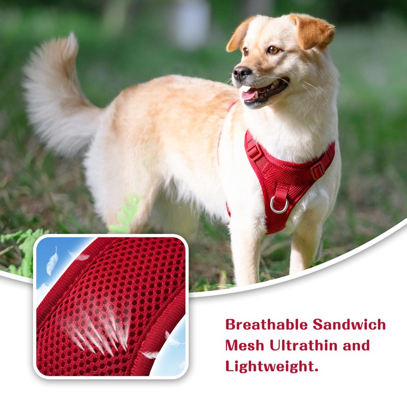 Sunraymascota No Pull Dog Harness Escape Proof, Adjustable Mesh Puppy