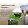 Livestock Fence, 4ft X 164ft Galvanized Wire Field Wire Fencing,