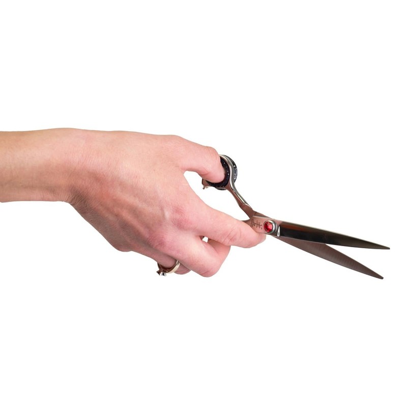 Show Tech Scissor Training Ring, Your Dog Grooming Expert, Teach