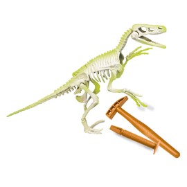 Clementoni 55539 Archaeojugando Velociraptor Phosphorescent Science Game to Build Your Own Phosphorescent Dinosaur and Discover the Science of Archaeology, ab