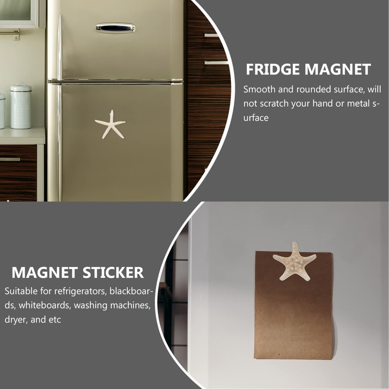 NUOBESTY 7pcs Shell Fridge Magnets Seashell Conch Star Decor Stickers