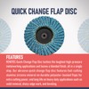RENOTEC 30 Pcs 2 Inch Mini Flap Disc, Zirconia High