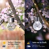 Solpex 12 Pack Hanging Solar Lights Outdoor,Solar Outdoor Lights Decorative,