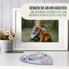 Happilax Pet Memorial Stone Grey - Dog Memorial Stone Made