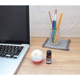 Decorle Aroma Overflowing Maneki Neko Maneki Neko