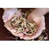 Health Embassy Siberian Ginseng Root (Eleutherococcus senticosus), 100 g