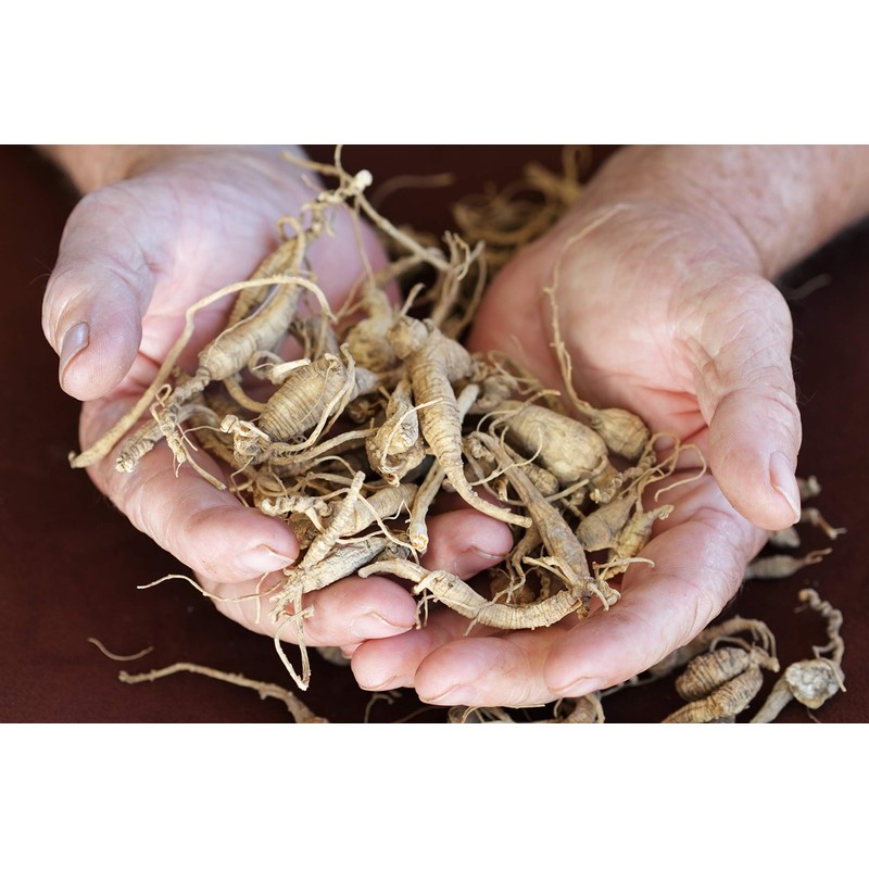 Health Embassy Siberian Ginseng Root (Eleutherococcus senticosus), 100 g
