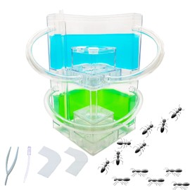 EXBEPE Large 2 Layer Gel Ant Colony Ecosystem Terrarium, Ant Habitat Science Learning Kit