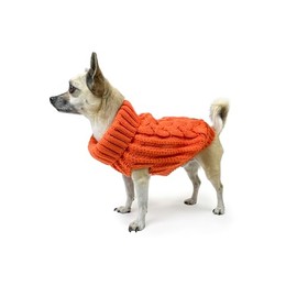Huskimo Cali Knit Dog Jumper, Tangerine, 22cm