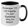 Developer Humor Mugs - Funny I'm Not Arguing I'm Just