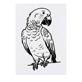 'Parrot African Grey' Temporary Tattoo - Water Resistant, Skin-Safe, Non-Toxic Transfer (TO00071499)