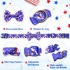 BiPawTi American Flag Dog Collar with Bowtie, 4th of July