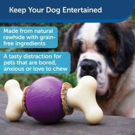 PetSafe® Busy Buddy® Bouncy Bone™, Treat Holding Dog Toy, Medium, Best for Dogs 10-50 Lb.